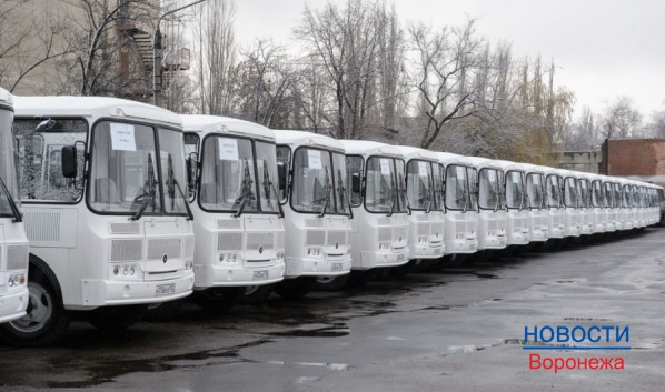 Новые автобусы на газомоторном топливе.