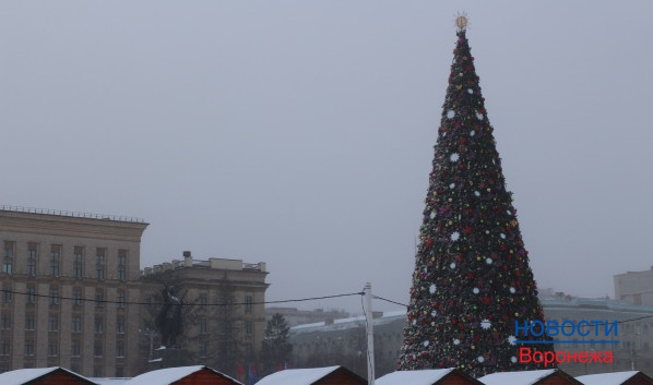 Воронеж оказался в списке популярных городов для празднования Нового года.
