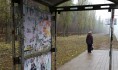 В Воронежской области украли остановку.