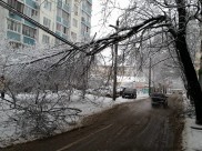 Ветка опасно повисла на проводах.