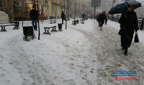В Воронеже ожидают новый снегопад.