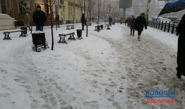 Воронеж ожидает снежная неделя.