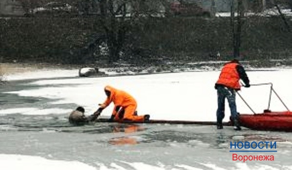 Лед сейчас очень тонкий.