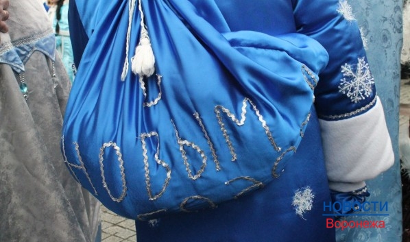 В Воронеже пройдет карнавал и парад Дедов Морозов.