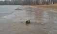 Лёд был слишком хрупким.