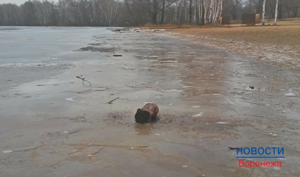 Лёд был слишком хрупким.