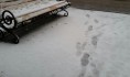 В Воронеже будет снежно и морозно.