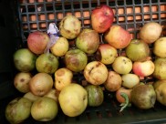 Продукты хранились с нарушениями.