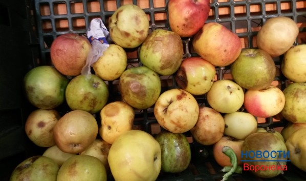Продукты хранились с нарушениями.