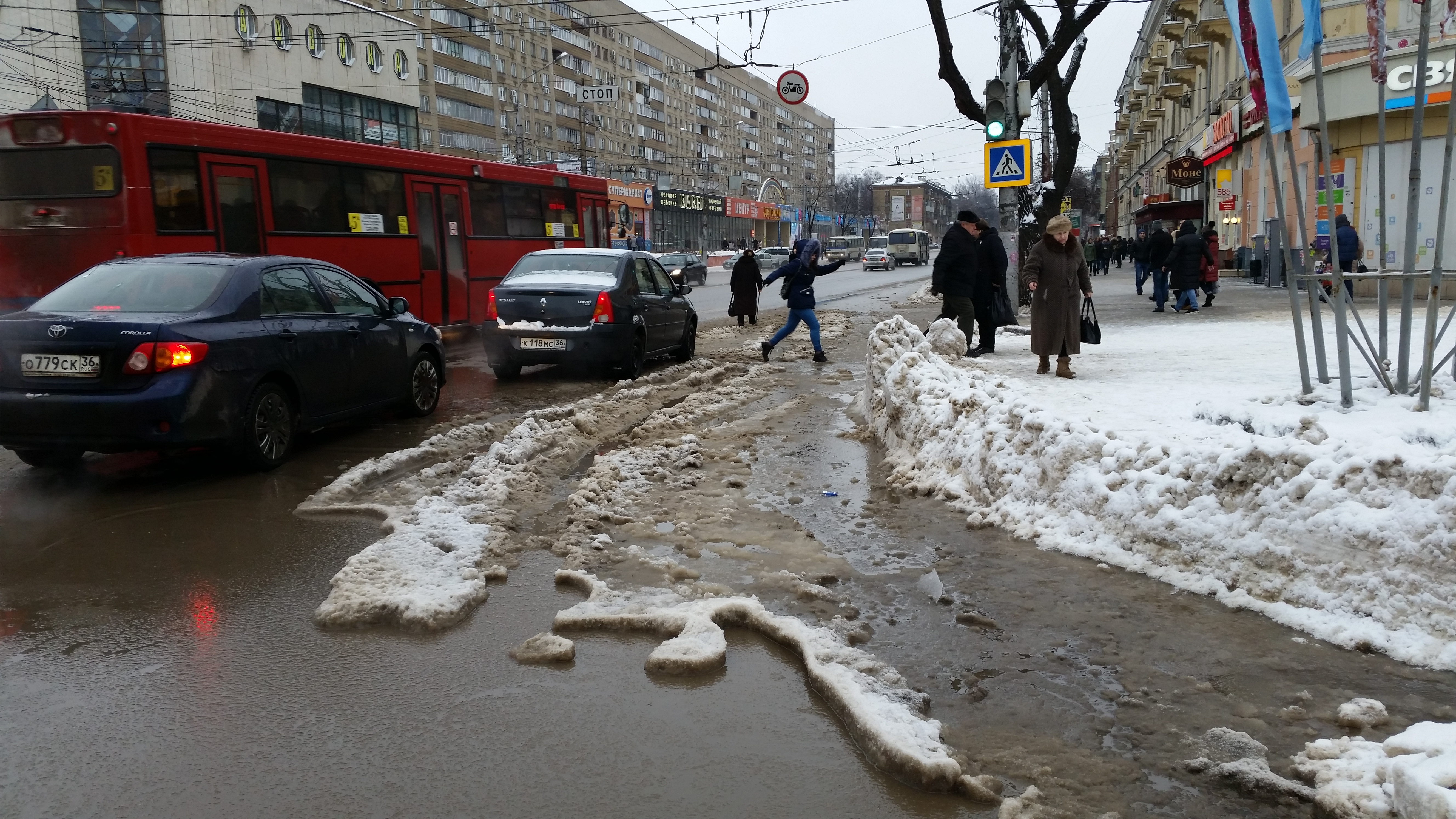 Погода в воронеже воронежской. Воронеж слякоть. Потепление слякоть. Огромные лужи в Воронеже. В Воронеже послезавтра.