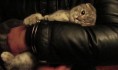 Кот на руках у задержанного хозяина.