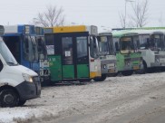 Общественники и полиция проверили воронежские маршрутки.