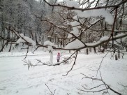 В Воронеже ожидается снегопад.