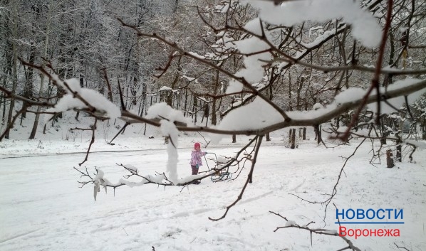 В Воронеже ожидается снегопад.
