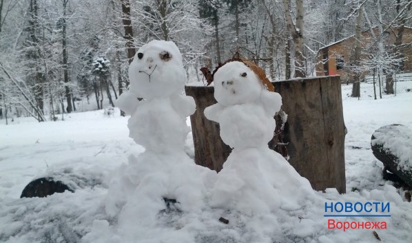 На выходных в городе выпадет снег.