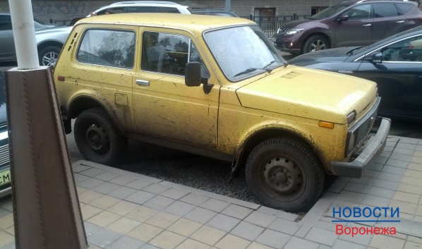 Воронежец топором повредил легковушку.