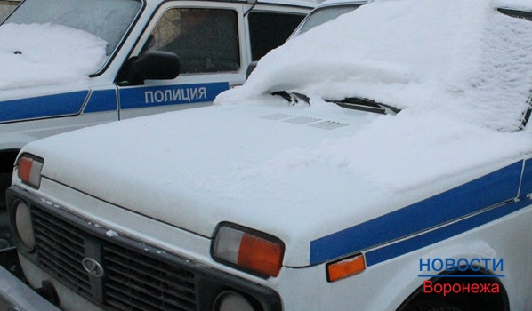 Воронежец попытался забрать дочь из машины.