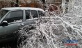 Из-за ветра ветки и деревья могут падать вниз.