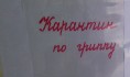Карантин по гриппу.