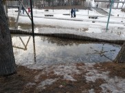 После кратких морозов вновь придет тепло.