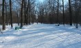 Полицейские по следам пришли в дом браконьера.