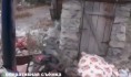 Дом женщины.