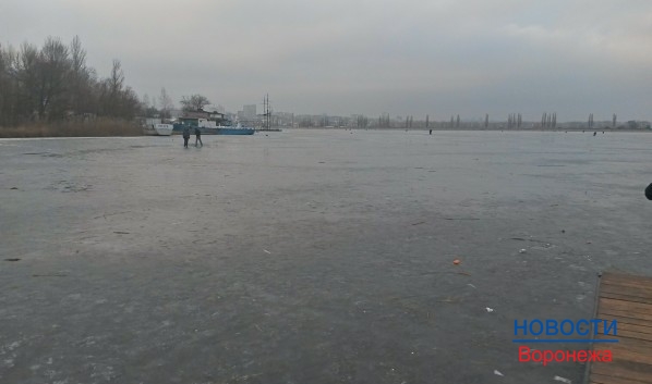 Воронежцев предупреждают об усилении ветра.
