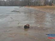 Лед стал слишком хрупким.