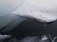 Лёд становится непрочным.