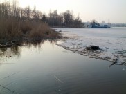 Днем будет тепло, а ночью небольшой мороз.