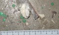 У подозреваемого нашли сверток с белым веществом.