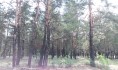 Воронежец лишился техники во время съемок пейзажа.