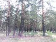 Воронежец лишился техники во время съемок пейзажа.
