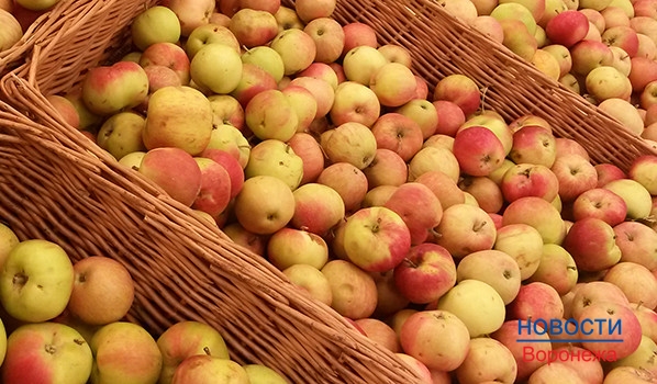 Более тонны яблок уничтожили в Семилукском районе.