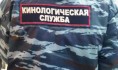 Кинологи обследовали здание.