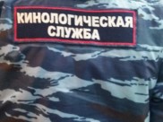 Кинологи обследовали здание.