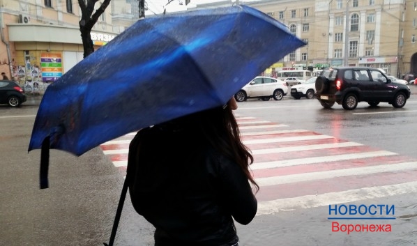 В Воронеже будет идти мокрый снег.