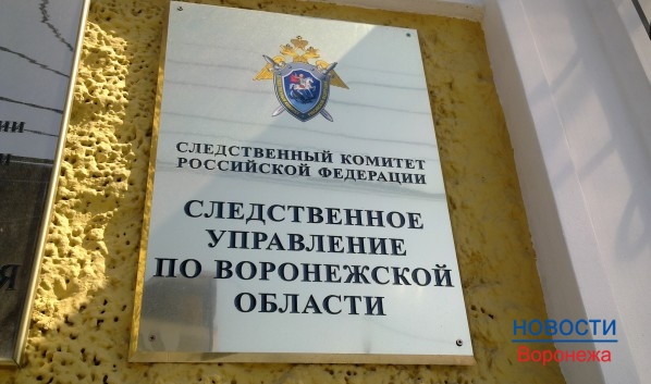 СКР проводит доследственную проверку.