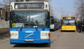 В Воронеже проверили автобусы.