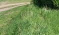 Земельный участок похитили.