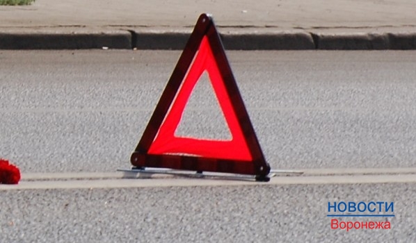 Пешеход погиб в ДТП в Воронежской области.