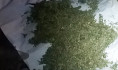 У воронежца изъяли наркотики.