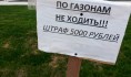 Часть парка незаконно оформили в собственность.