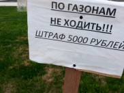 Часть парка незаконно оформили в собственность.