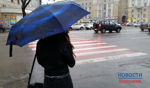 В Воронеже грядет дождливая неделя.