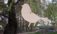 В Воронеже в ночное время будет еще холодно.