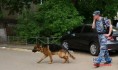 На обыск вызвали кинологов.