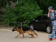 На обыск вызвали кинологов.
