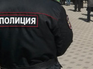Полицейские оперативно скрутили грабителя.