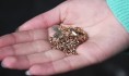 Девушка смогла вырвать украшение из рук грабителя.